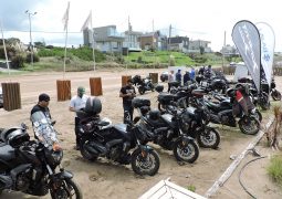 DOMINAR PINAMAR 6