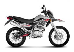 Motomel Skua 150 Silver 7