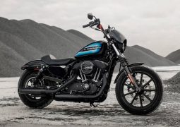 harley davidson iron sportster