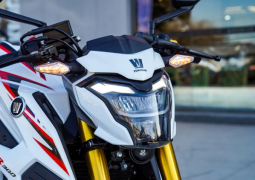 suzuki portada
