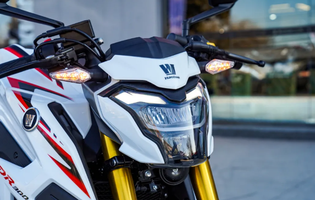 suzuki portada