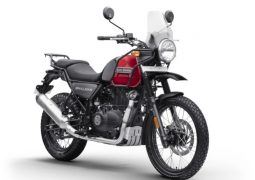 himalayan