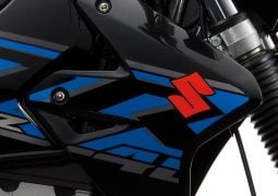 suzuki 2