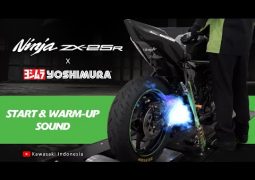 zx 25r
