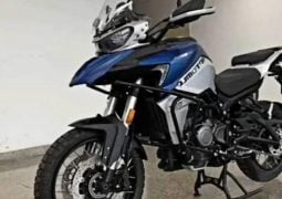 benelli 800
