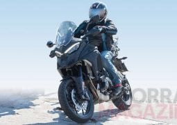 web ducati