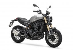 benelli leoncino 800 1