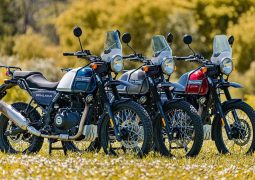 RE HIMALAYAN 6