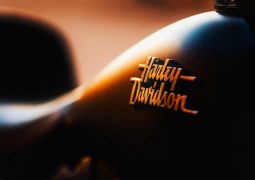 Harley-Davidson detalle marca en el tanque