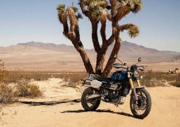 Triumph scrambler desierto