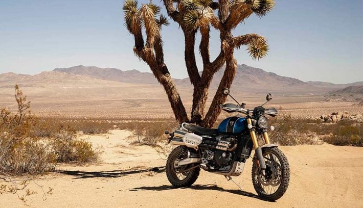 Triumph scrambler desierto