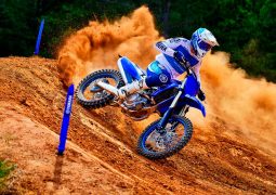 Yamaha YZF 450 accion