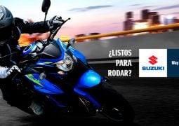 Suzuki regreso a la Argentina