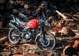 Hero Xpulse 200