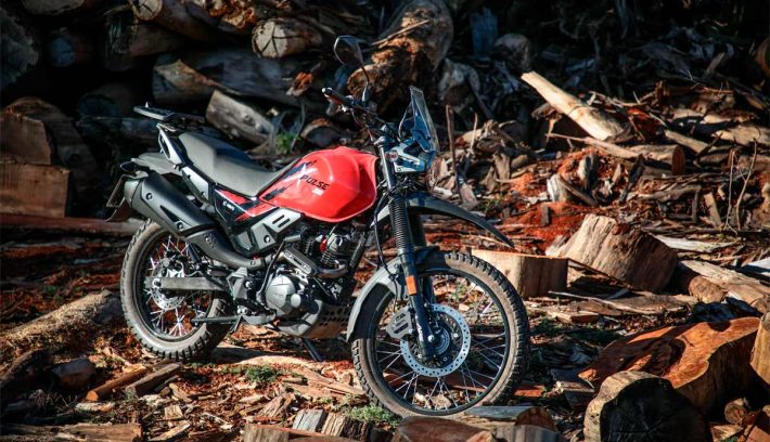 Hero Xpulse 200