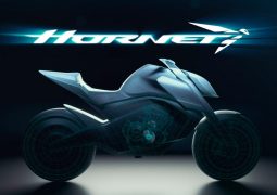 Honda Hornet