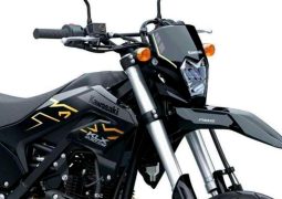 Kawasaki KLX230SM