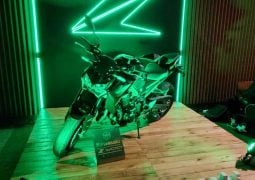 Kawasaki Z aniversario