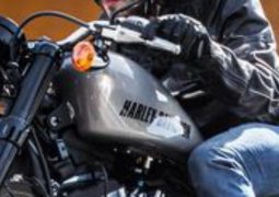 Harley Sporty 2