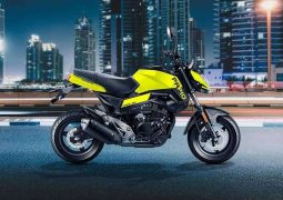 CFMoto Papio actual