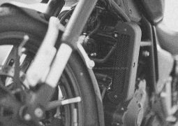 Hero Harley-Davidson desarrollo en conjunto