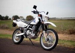 Suzuki DR650