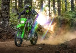 Kawasaki KLX300