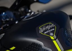Kawasaki Ninja ZX-10R y RR Winter Test Edition