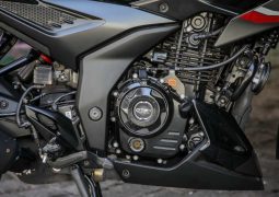 Bajaj lanzará varios modelos a GNC: la primera moto llegará el próximo mes