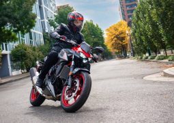 Kawasaki Z500 2024