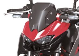 Kawasaki Z500 2024