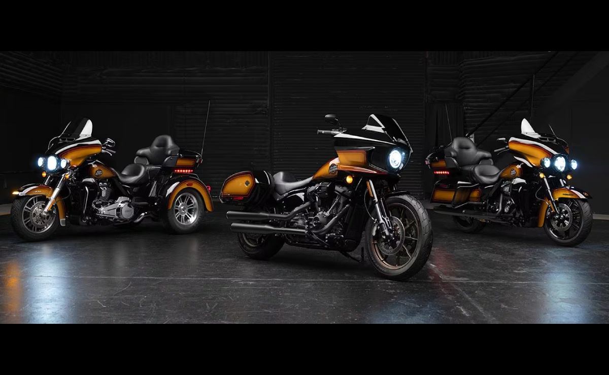 Harley-Davidson Enthusiast Motorcycle Collection