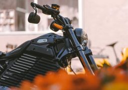 Harley-Davidson LiveWire S2 Mulholland