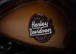 Harley-Davidson logo colección