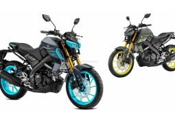 Yamaha MT-15 V2 2024
