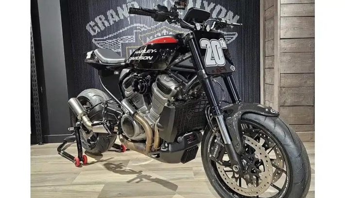 Harley-Davidson Pan America Streetfighter especial