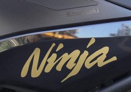 Kawasaki trabaja en una Ninja por encima de los 1000cc y con más equipamiento
