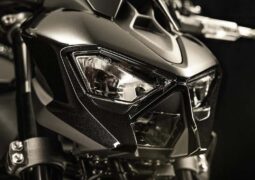 Kawasaki Z900 2025