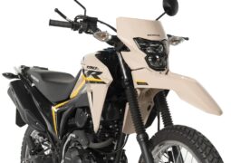 Honda XR 190 L 2025: ¿Con qué precio se lanzó la nueva “Mini Tornado”?