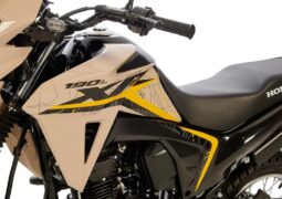 Resumen semanal: los lanzamientos de Honda, las Adventure que se vienen y más