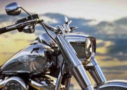 Harley-Davidson Fat Boy Gray Ghost 2025