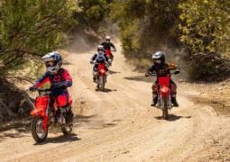 Honda CRF F: Tres cilindradas que se adaptan a diferentes etapas de aprendizaje