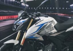 Bajaj Rouser N250