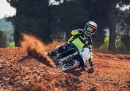 Triumph TF 250-X