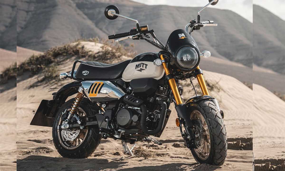 Mitt Ibiza 125 contra Honda Monkey