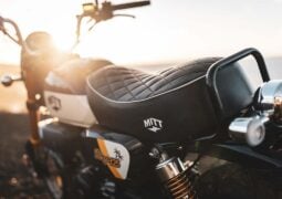 Mitt Ibiza 125 contra Honda Monkey