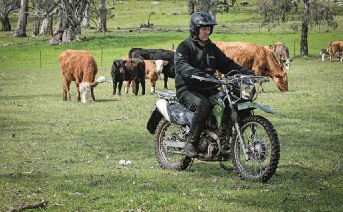 Kawasaki Stockman