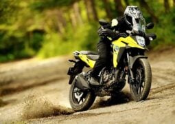 Suzuki V-Strom 250 SX