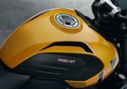 Triumph Triden 660: Motor, parte de ciclo y equipamiento
