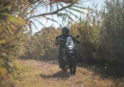 Precio de la Royal Enfield Himalayan 450 en febrero de 2026